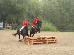 IMG_1489_web